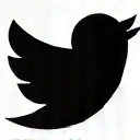 Twitter Icon